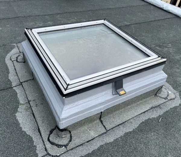 WhatsApp Image 2025-10-19 at 20.41.41_29230a86