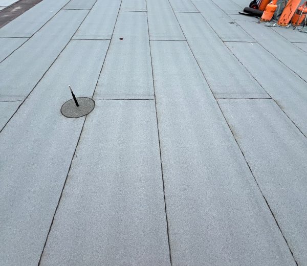 WhatsApp Image 2025-10-19 at 20.41.42_0a4e4e60