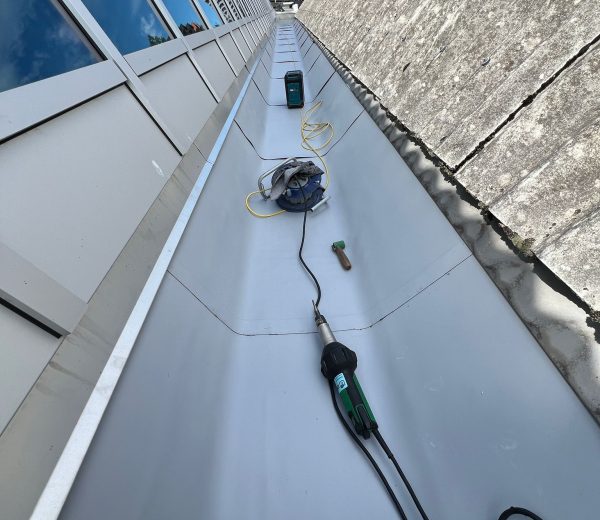 WhatsApp Image 2025-10-19 at 20.41.43_4ee0ca76