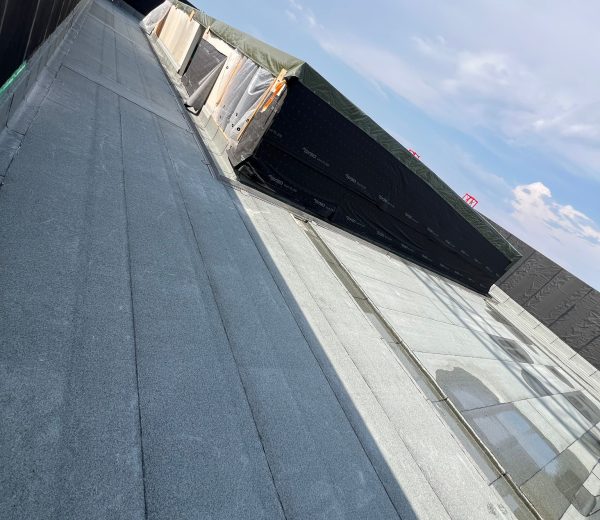 WhatsApp Image 2025-10-19 at 20.41.45_45ab84e9