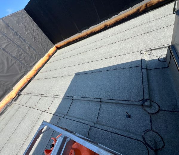 WhatsApp Image 2025-10-19 at 20.41.48_2c97d320