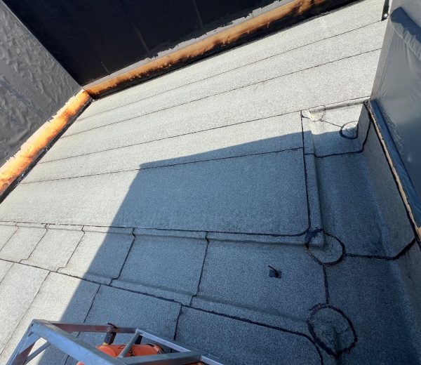 WhatsApp Image 2025-10-19 at 20.41.48_395556a7