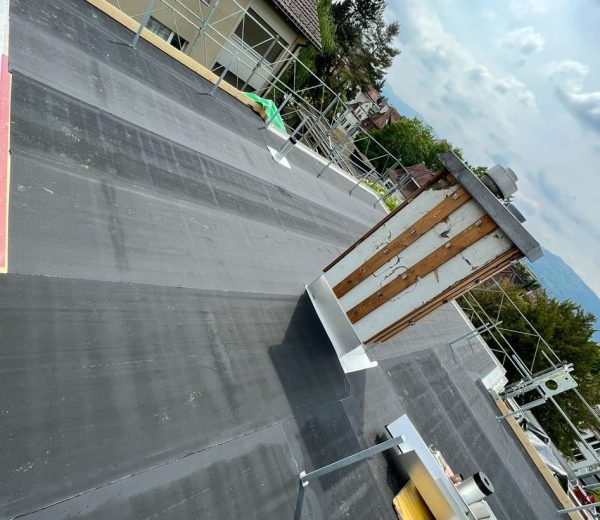 WhatsApp Image 2025-10-19 at 20.42.00_59d36740