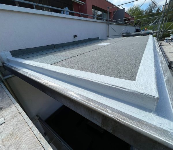 WhatsApp Image 2025-10-19 at 20.45.01_483429c1