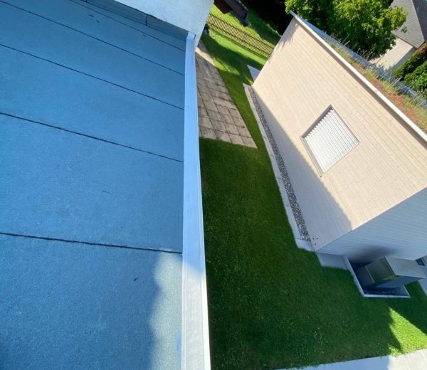 WhatsApp Image 2025-10-19 at 20.45.09_9a9fa580